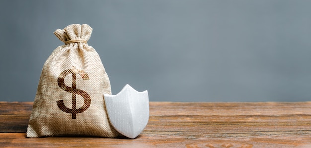 Foto bolsa con símbolo de dólar y escudo de protección.