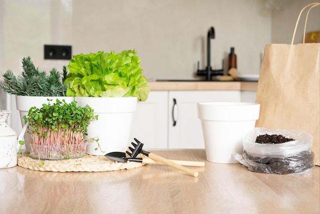 Una bolsa de tierra, un mini rastrillo y una pala, micro verduras y lechuga en una olla sobre la mesa de la cocina.