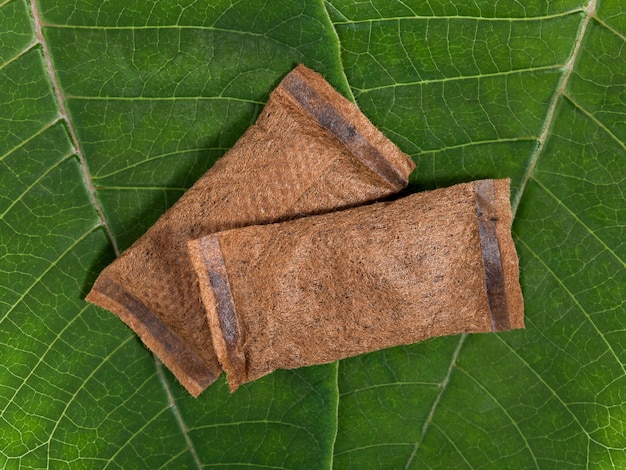 Bolsas de tabaco sem fumaça em folhas verdes. Vista do topo. Foto macro