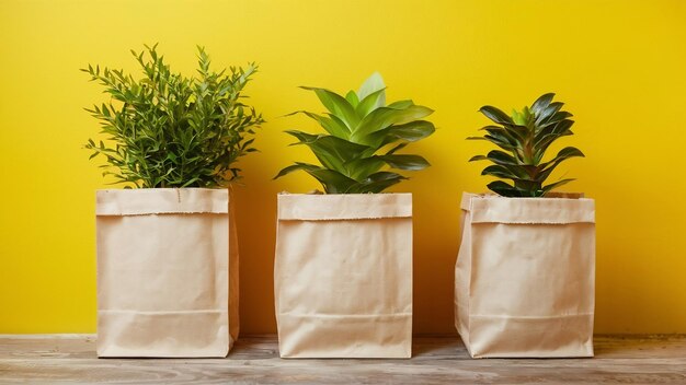 Bolsas de papel y plantas