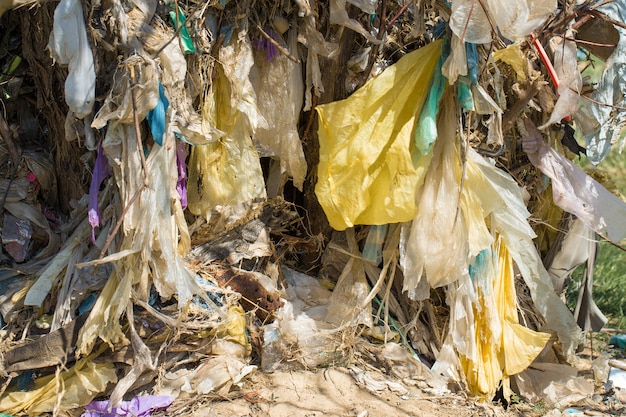 Bolsas de plástico y botellas en un vertedero Liberación no autorizada de basura Contaminación de la naturaleza