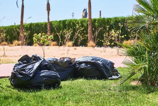 Bolsas de plástico negro con basura en la hierba