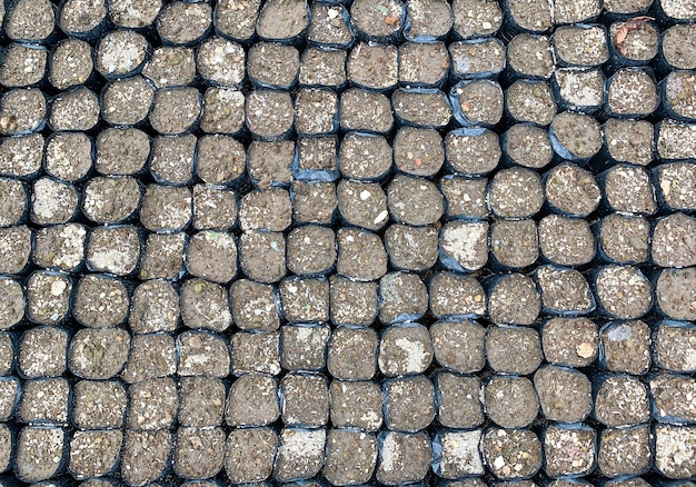 Bolsas de polietileno que contienen tierra y están listas para plantar en el vivero.