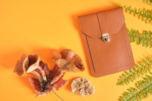 Bolso de teléfono y billetera y helecho sobre fondo naranja, cuero vegano eeo del concepto de plantas