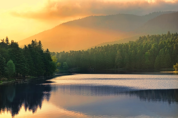 Bolu Forest Golcuk Nationalpark Türkei