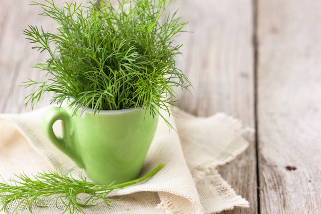 Bom endro orgânico verde no jardim de agricultores para alimentos