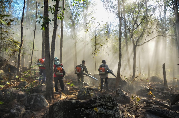 Foto bombeiro