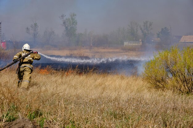 El bombero extingue la quema de hierba seca de la manguera contra incendios