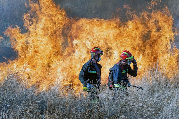 Foto los bomberos intentan apagar el fuego