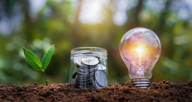 Bombilla con crecimiento de plantas y dinero en vaso de jarra en el suelo en la naturaleza. ahorro de energía. concepto de contabilidad financiera