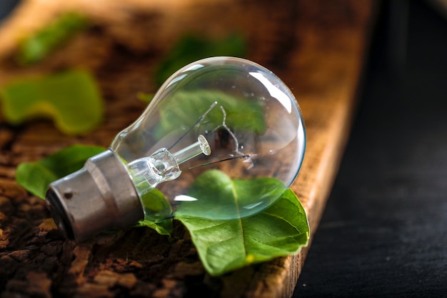 bombilla con hoja verde sobre fondo de madera