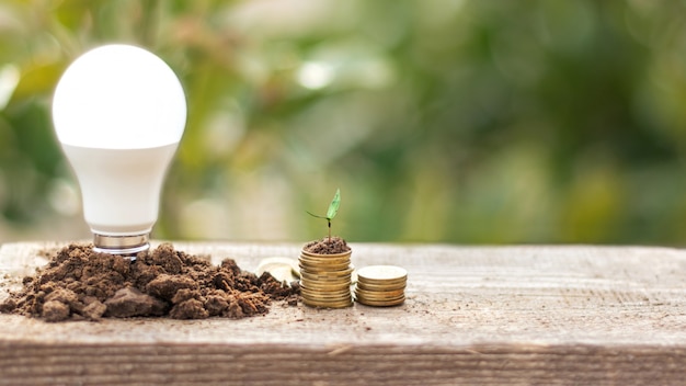 Bombilla led en pilas de monedas con planta en crecimiento