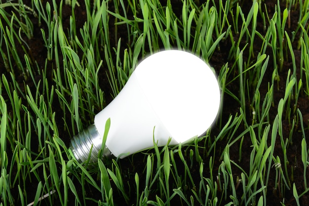 Bombilla de luz LED sobre hierba verde