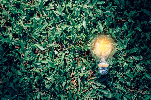 Bombilla de luz de primer plano en concepto de eco de fondo de naturaleza verde