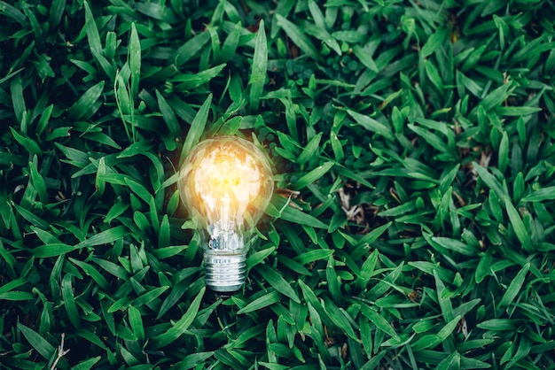 Foto bombilla de luz de primer plano sobre fondo verde de la naturaleza