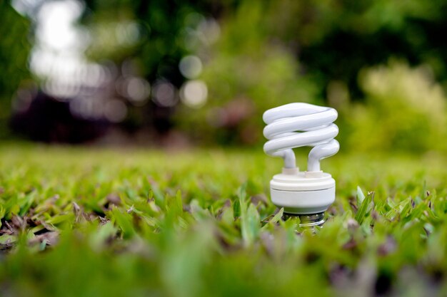 Bombilla de luz que brilla intensamente sobre la hierba verde