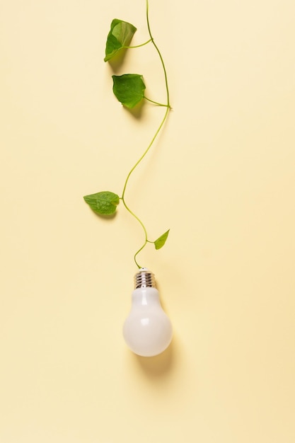 Bombilla con planta verde como concepto de energía ecológica Idea creativa de ahorro de energía