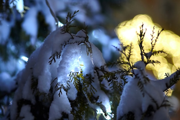 Foto bombillas incandescentes de luz de navidad de noche bajo la nieve