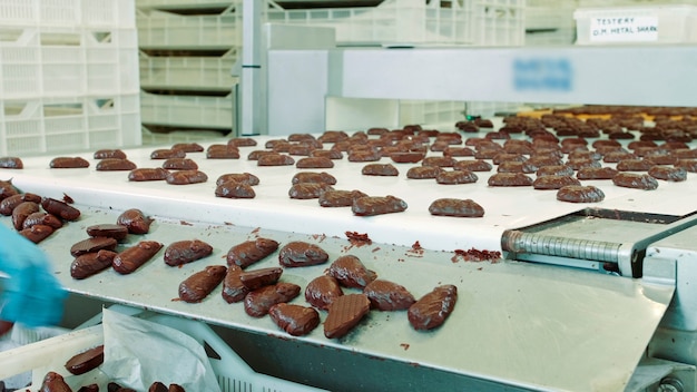Bombons de chocolate de fábrica de doces deitado na esteira rolante de doces de chocolate saborosos deitado na esteira ...