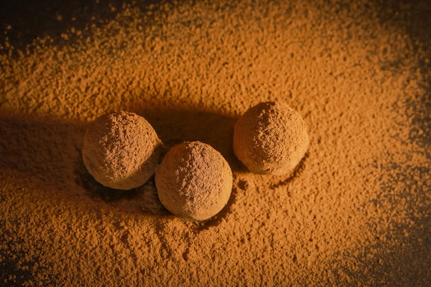 Bombons de chocolate trufado em pó de cacau melhores trufas de chocolate