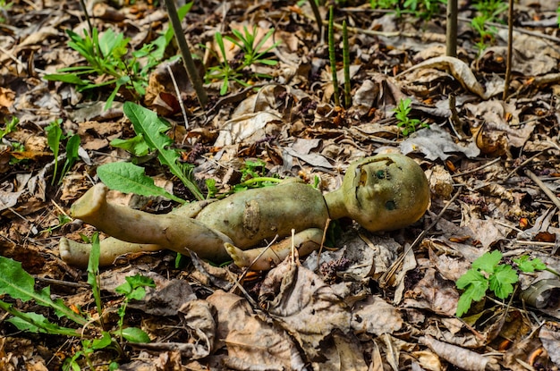 Boneca quebrada velha na floresta
