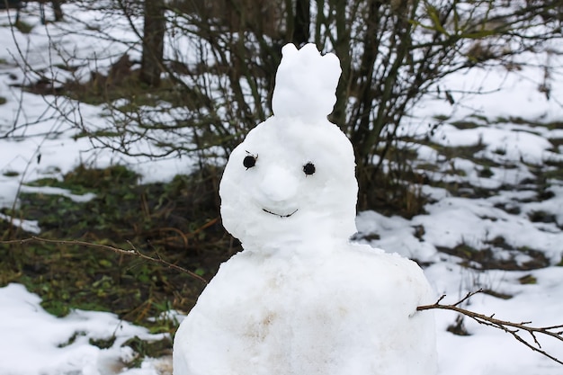 Boneco de neve bonito no quintal rural.