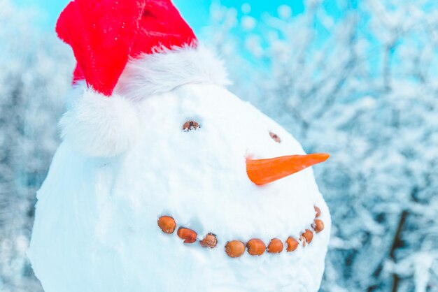 Boneco de neve com chapéu de Papai Noel fecha o inverno