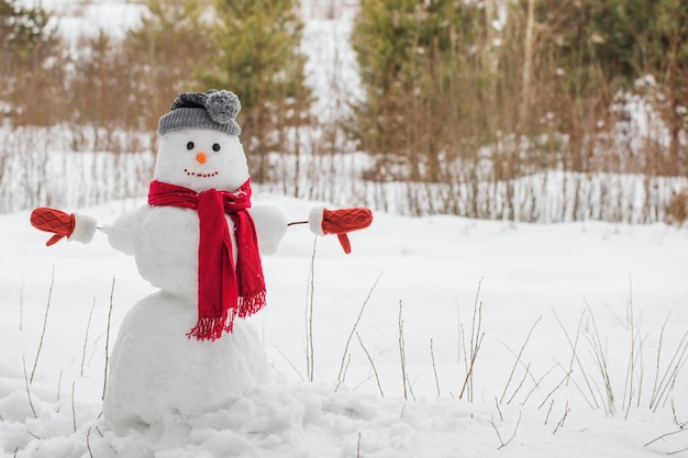 Foto boneco de neve com lenço vermelho na floresta