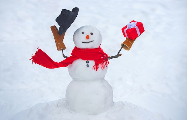 Foto boneco de neve com presente e chapéu