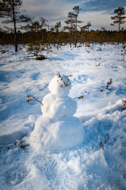 Boneco de neve engraçado no meio de um pântano congelado. Das maravilhas do inverno com um boneco de neve sorridente engraçado.