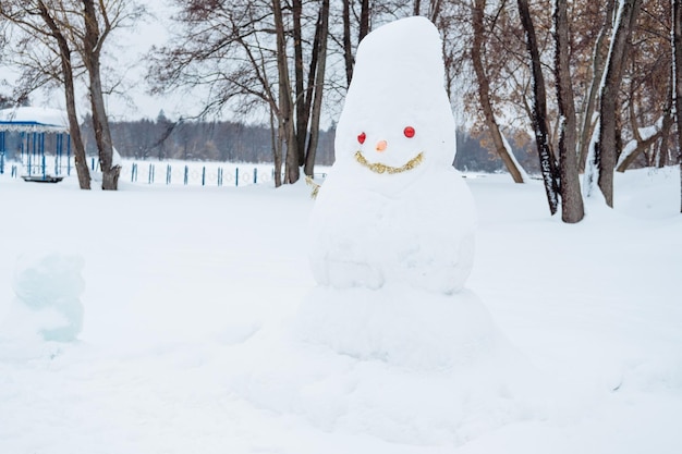 Boneco de neve sorridente no parque na perspectiva da neve