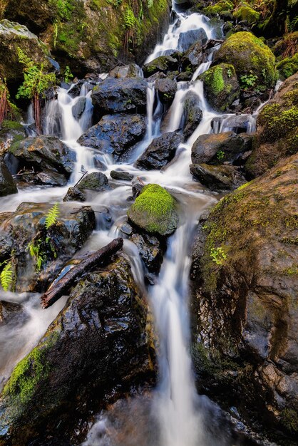 Una bonita cascada en los bosques de Trinidad California