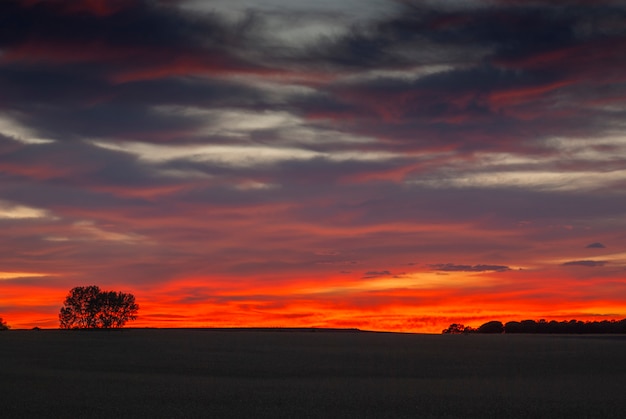 bonita foto del atardecer en el campo con cielo nublado