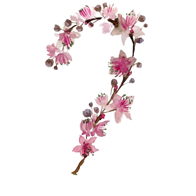 Bonita ilustración de acuarela de sakura de Japón. Imagen dibujada a mano para usar en diseño, decoración del hogar.