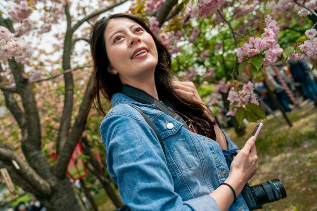 bonita mujer asiática sosteniendo su móvil y mirando hacia arriba con una gran sonrisa feliz en un parque sakura.