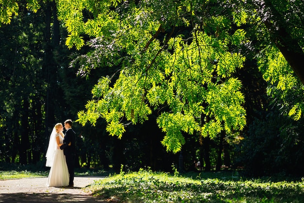 Bonita pareja de pie juntos bajo la rama de un árbol verde