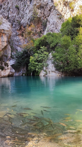 bonita vista de las montañas y el lago