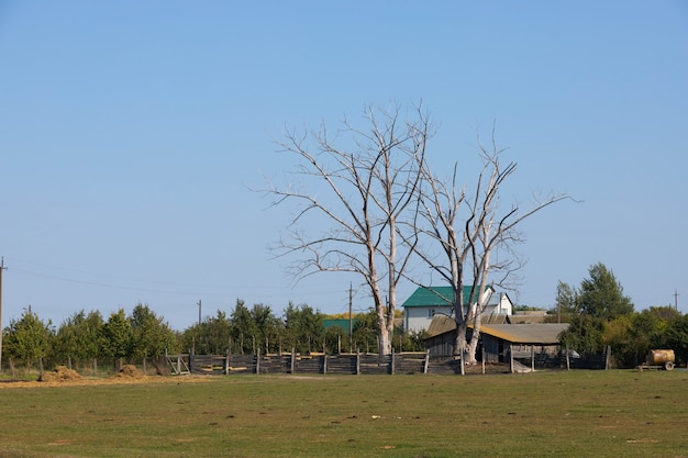 Bonita vista del rancho, una finca con árboles secos.