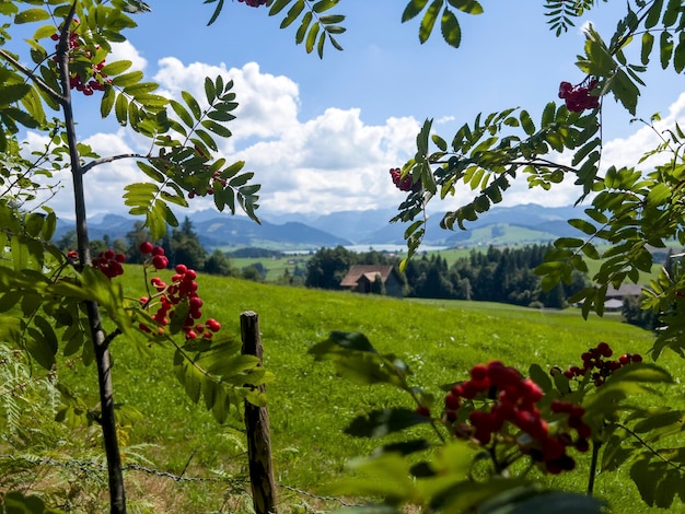 Una bonita vista sobre el valle.