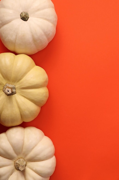 Bonitas calabazas blancas y amarillas en el fondo anaranjado