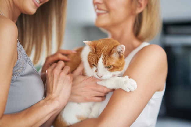 Bonitas dos chicas adultas en la casa con gato.