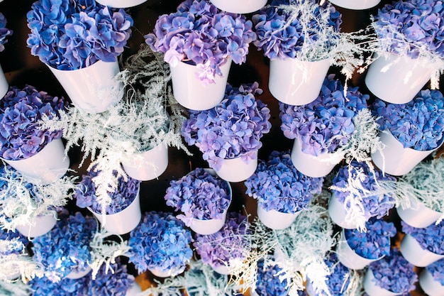 Foto bonitas violetas en macetas blancas