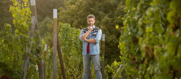 Bonito agricultor barbudo no negócio de vinhos de fazenda de vinhedos