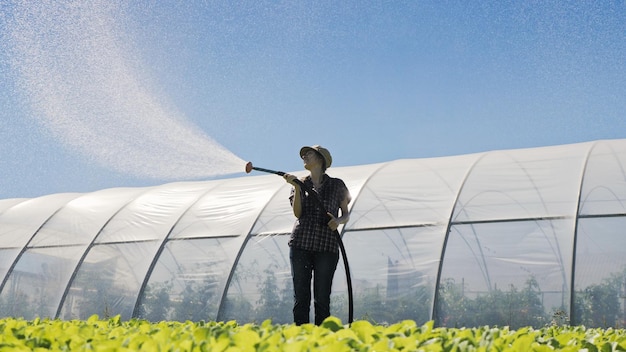 Bonito agricultor riega las plántulas jóvenes verdes en el campo cerca del invernadero