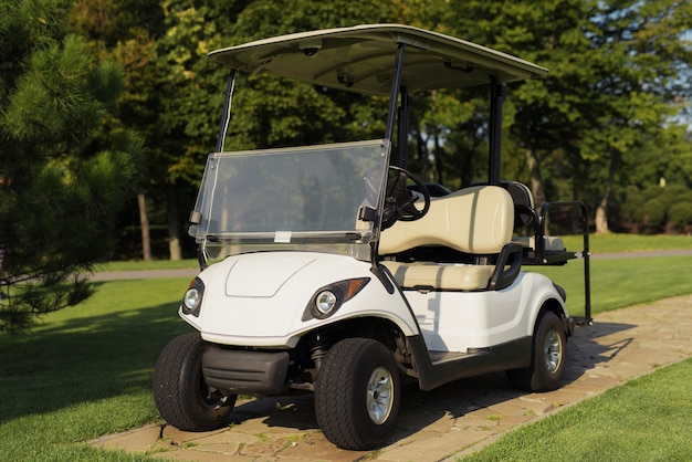 Bonito coche de golf de lujo blanco Caddy Car de Golf Club.