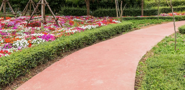 Bonito jardín de flores bien cuidado.