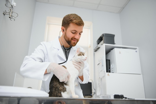 Bonito jovem veterinário segurando gato na clínica