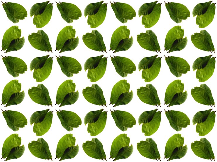 Foto bonito linha de fundo padrão de flor