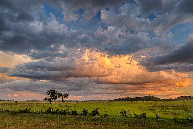 Bonito Mato Grosso do Sul Brasilien Rinder grasen bei bewölktem Himmel und Regen bei Sonnenuntergang