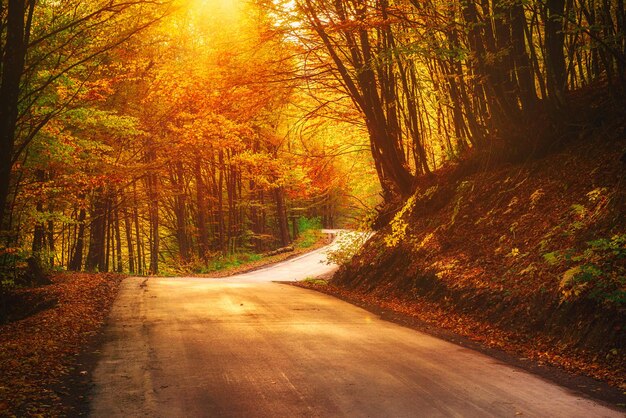 Bonito paisaje de otoño 